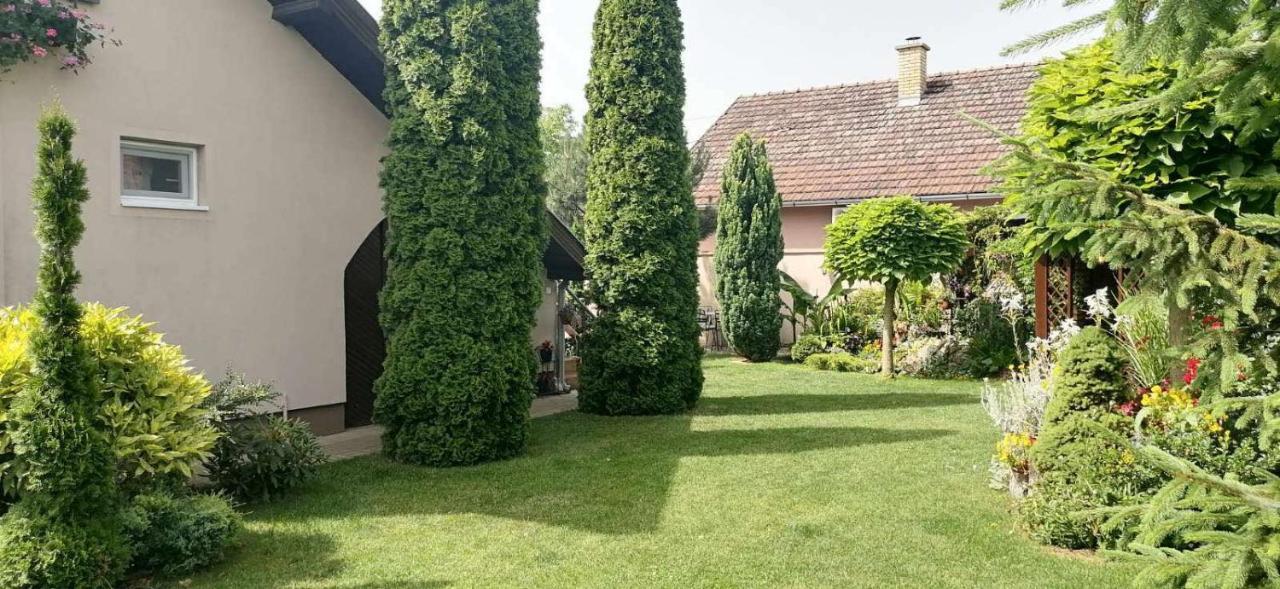 Villa Nirvana Palic Exterior photo